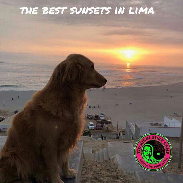 Tio Richi Surfcamp Hostel Punta Hermosa Εξωτερικό φωτογραφία